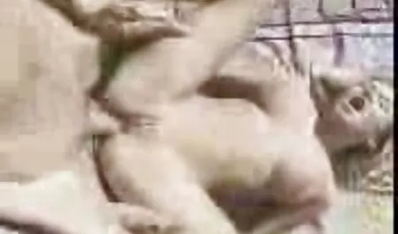 Phụ sex nhat ban hay nữ lớn mũ chắc chắn cố định